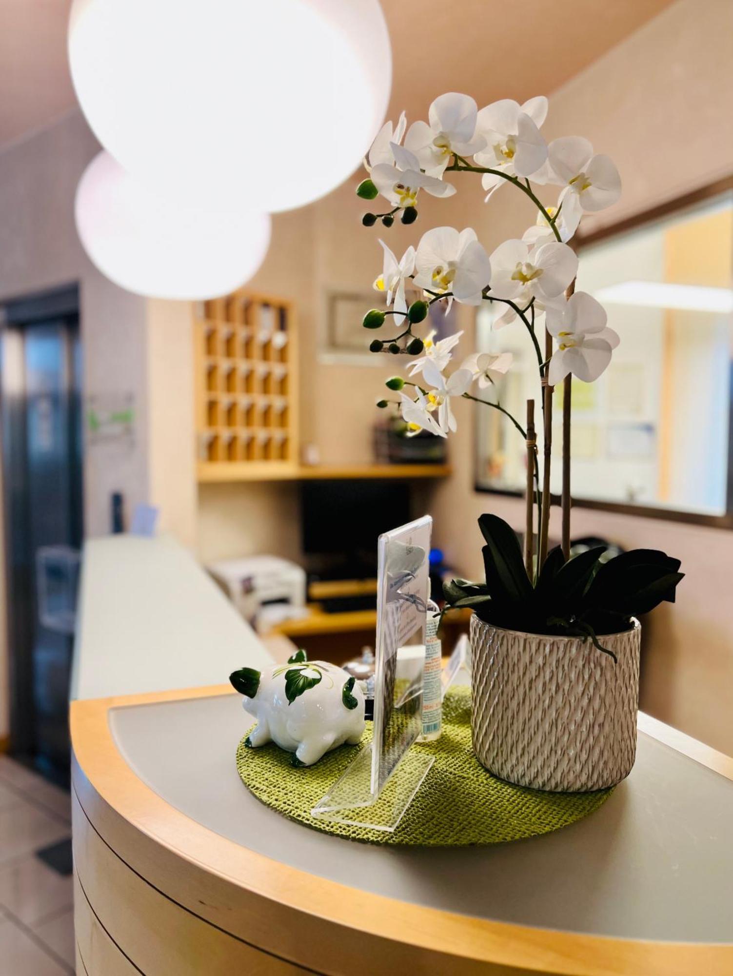Eco Hotel Ariston Malcesine Extérieur photo